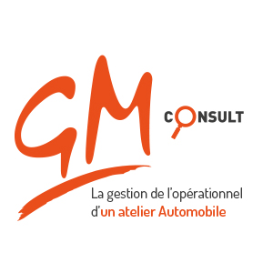 logo GM Consult